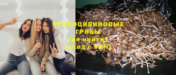 mdpv Балахна