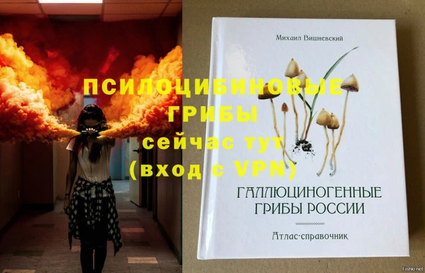 mdpv Балахна